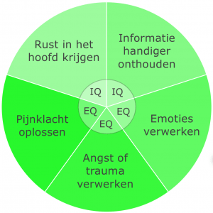 MatriXmethode-lost-verschillende-mentale-problemen-snel-op-300x300